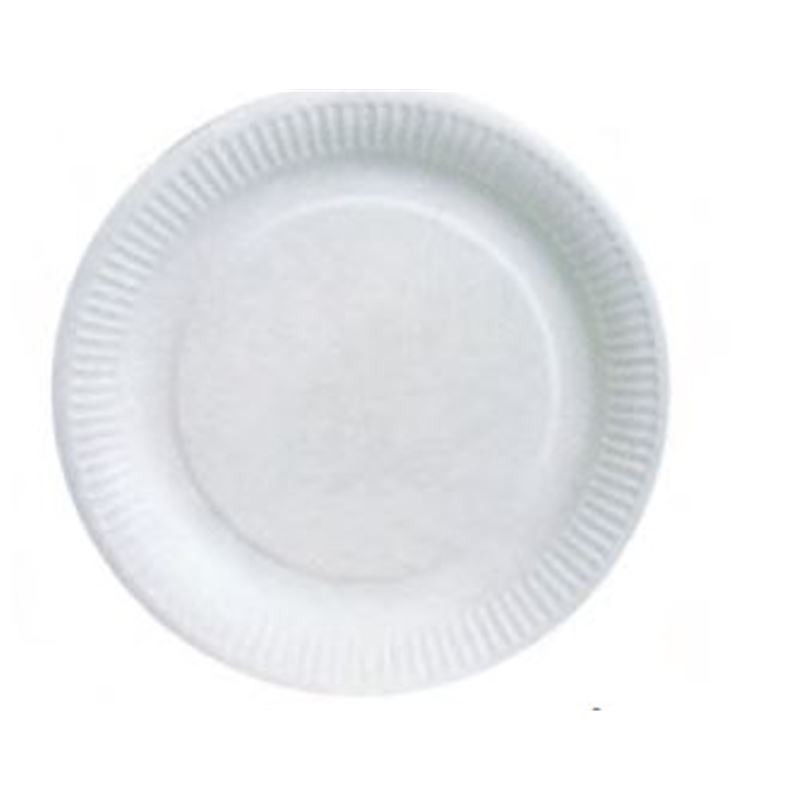 ASSIETTE CARTON BLANC 12 CM